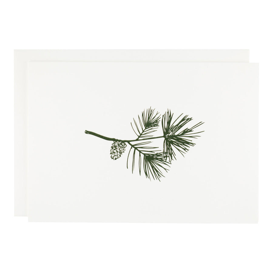White Pine