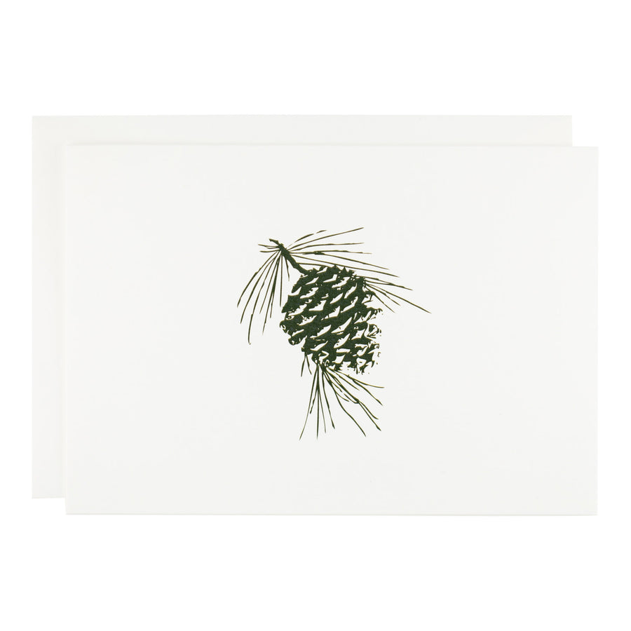 Pine Cone Bough