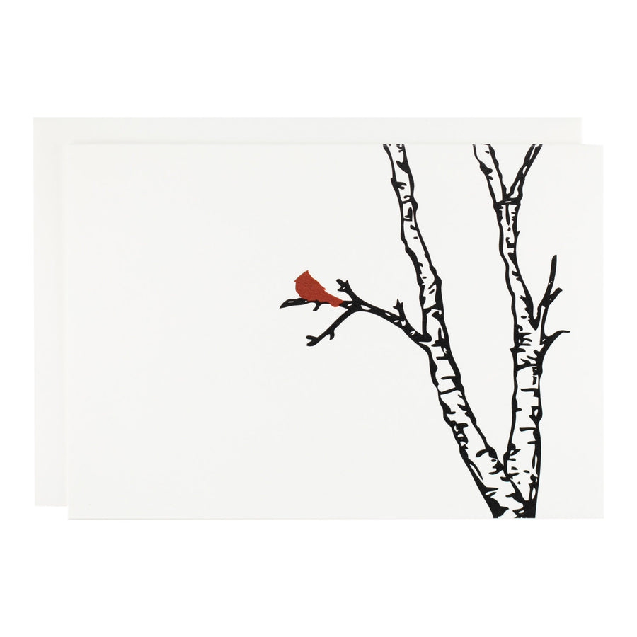 Birch with Cardinal